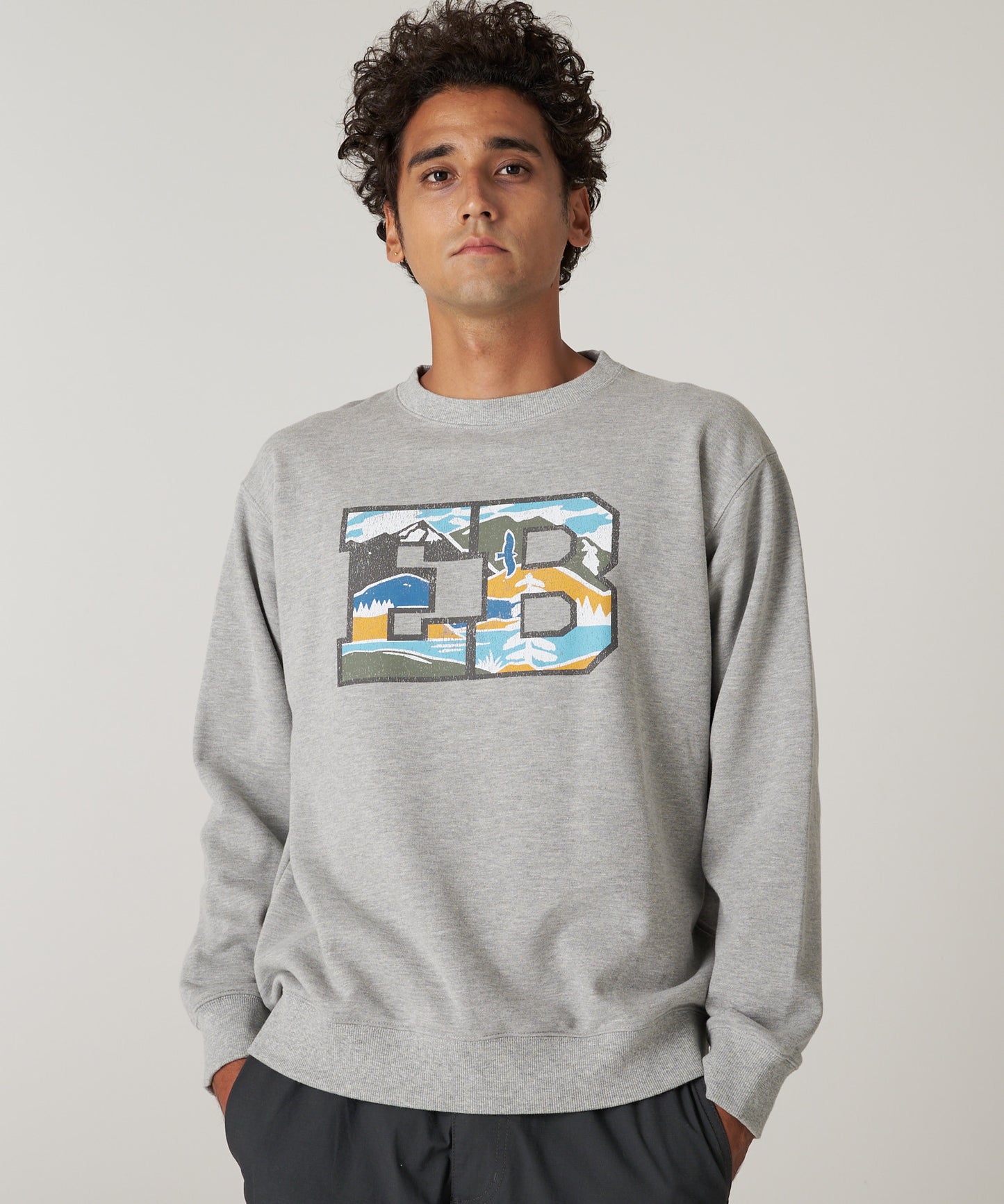 シグネチャー スウェット グラフィック クルー/SIGNATURE SWEAT GRAPHIC CREW