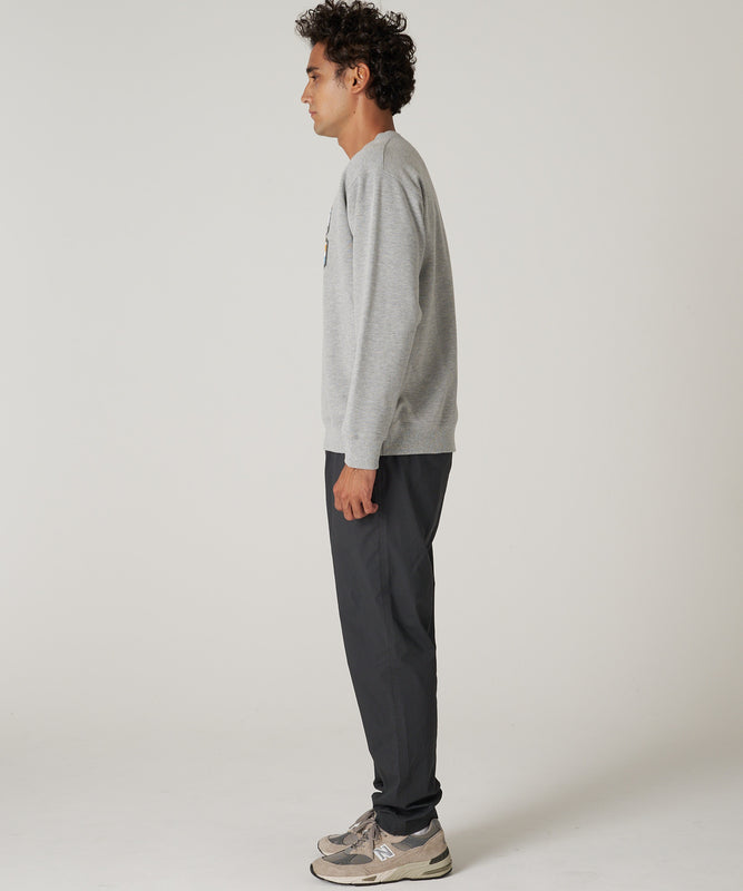 シグネチャー スウェット グラフィック クルー/SIGNATURE SWEAT GRAPHIC CREW