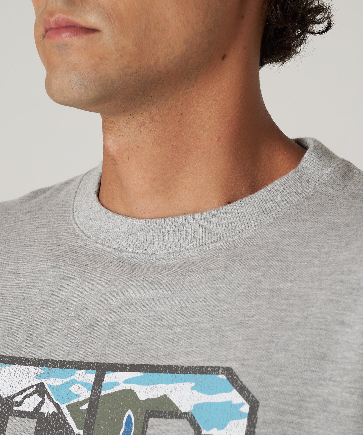 シグネチャー スウェット グラフィック クルー/SIGNATURE SWEAT GRAPHIC CREW