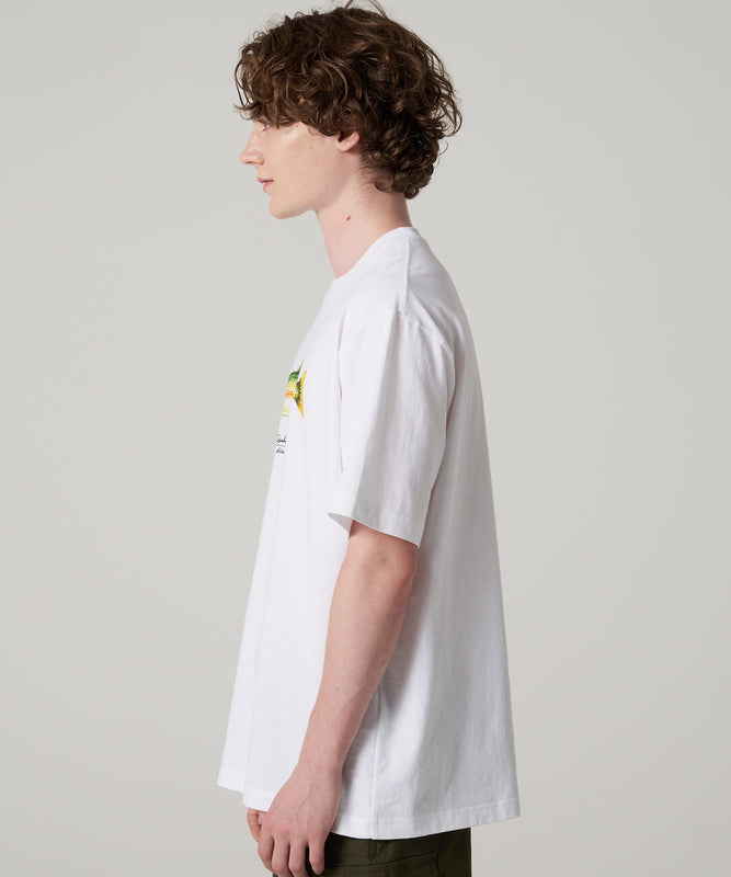 フィッシュ プリントTシャツ/FISH PRINT TEE