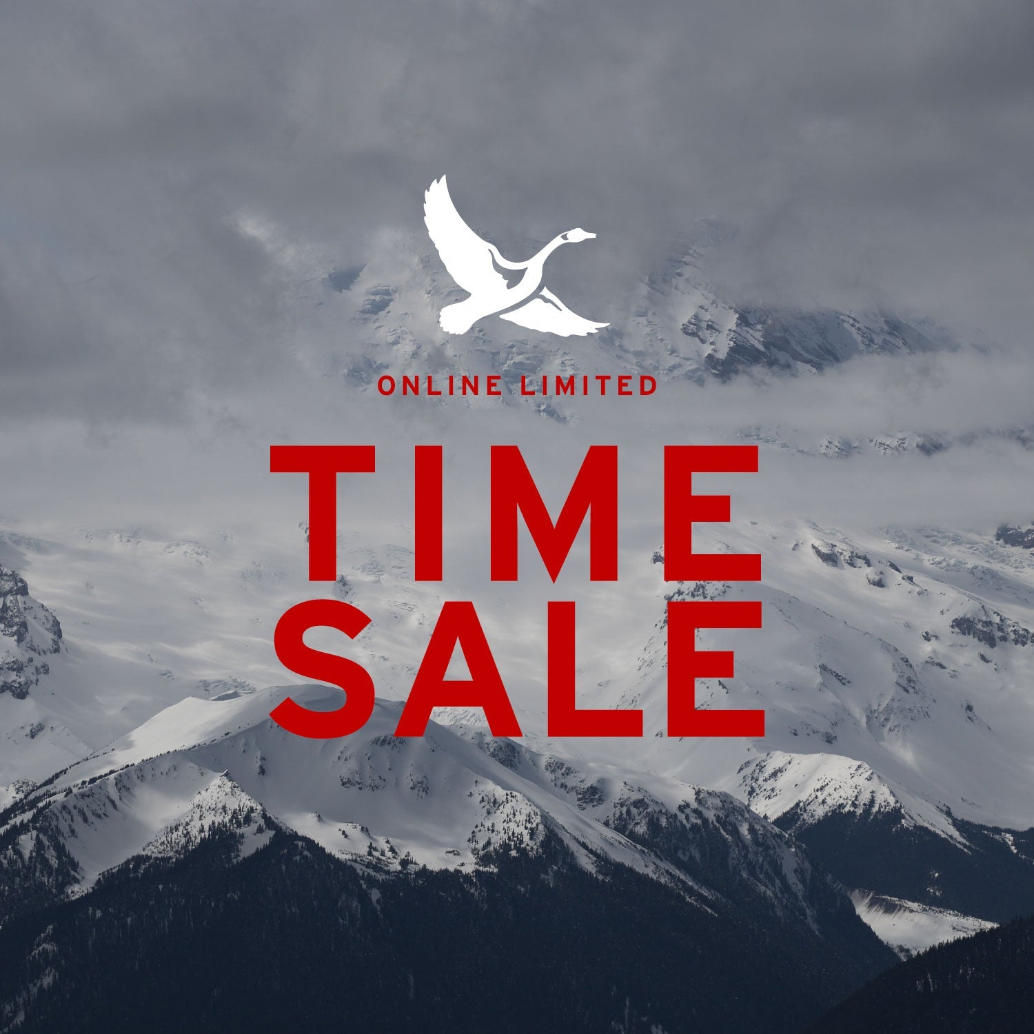 TIME SALE Eddie Bauer エディー・バウアー