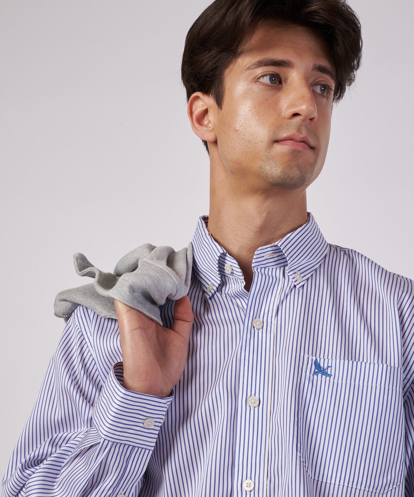 ブロード ストライプ 刺繡シャツ/BROAD STRIPE EMB SHIRTS